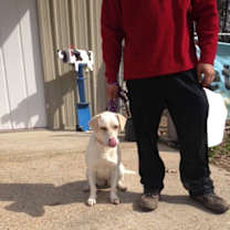 Thumbnail photo of Princess #4