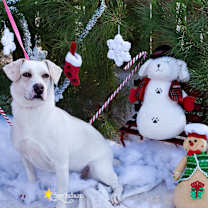 Thumbnail photo of Princess #1