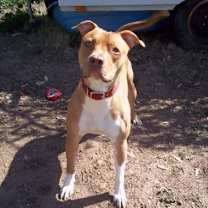 Thumbnail photo of Nacho #1