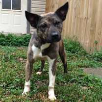 Thumbnail photo of Swiper #1