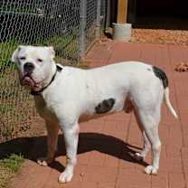 Thumbnail photo of FLASH #1