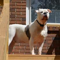 Thumbnail photo of FLASH #2