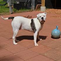 Thumbnail photo of FLASH #3