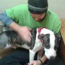 Thumbnail photo of Winston *Amputee* #2