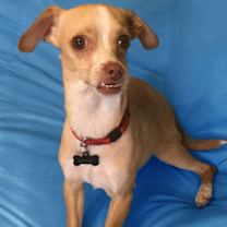 Thumbnail photo of Prince Max #1