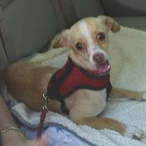 Thumbnail photo of Prince Max #2