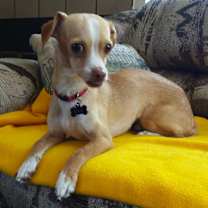 Thumbnail photo of Prince Max #3