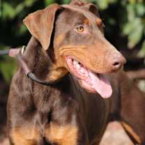 Thumbnail photo of Sensei #4