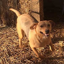 Thumbnail photo of JuJu Mac #1