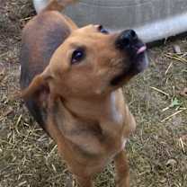 Thumbnail photo of JuJu Mac #2