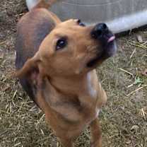 Thumbnail photo of JuJu Mac #2