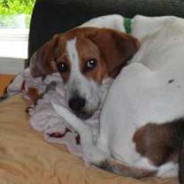 Thumbnail photo of Mack #1