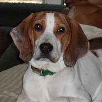 Thumbnail photo of Mack #3