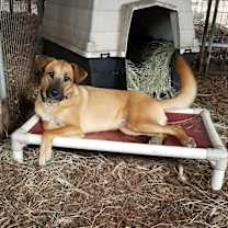 Thumbnail photo of Quincy #1