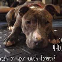 Thumbnail photo of Skye #2