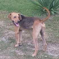 Thumbnail photo of JuJu Mac #3