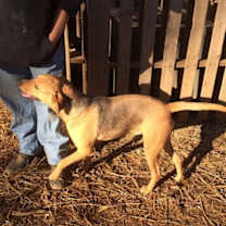 Thumbnail photo of JuJu Mac #4