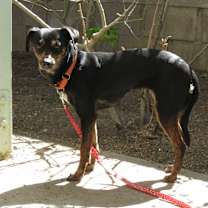 Thumbnail photo of Eve #2