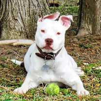 Thumbnail photo of Elsa #2