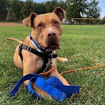 Thumbnail photo of Jackson #3