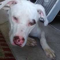 Thumbnail photo of Blanca #1