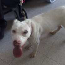 Thumbnail photo of Blanca #2