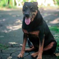 Thumbnail photo of Jackie #1