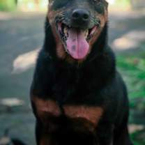 Thumbnail photo of Jackie #2