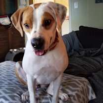 Thumbnail photo of abbie #1