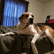 Thumbnail photo of abbie #2