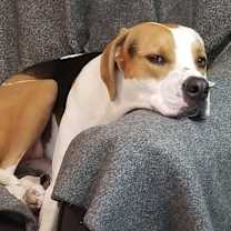 Thumbnail photo of abbie #3