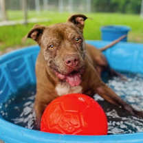 Thumbnail photo of Brady #1