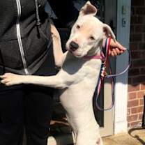 Thumbnail photo of Savannah #3