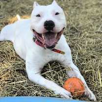 Thumbnail photo of Kenny #1