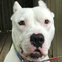 Thumbnail photo of Kenny #2