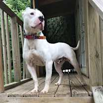 Thumbnail photo of Kenny #3