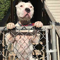 Thumbnail photo of Kenny #4