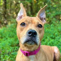 Thumbnail photo of Maya #1