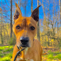 Thumbnail photo of Maya #4