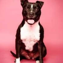 Thumbnail photo of Cici #2