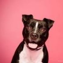 Thumbnail photo of Cici #4