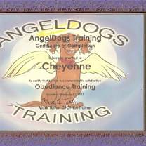 Thumbnail photo of Cheyenne #4