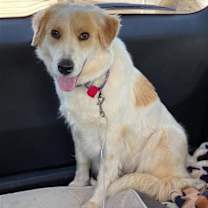 Thumbnail photo of Nell #1