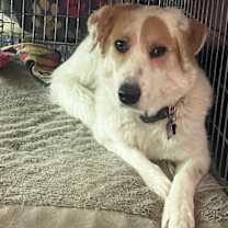 Thumbnail photo of Nell #4