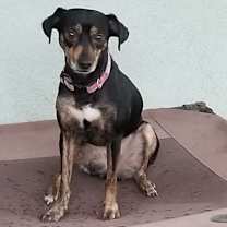 Thumbnail photo of Eve #4