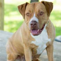 Thumbnail photo of Jada #2