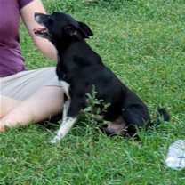 Thumbnail photo of Jack #1