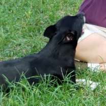 Thumbnail photo of Jack #2