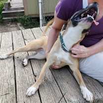 Thumbnail photo of Charlie #2