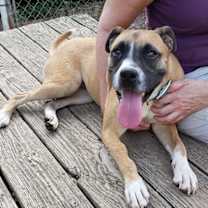 Thumbnail photo of Charlie #4